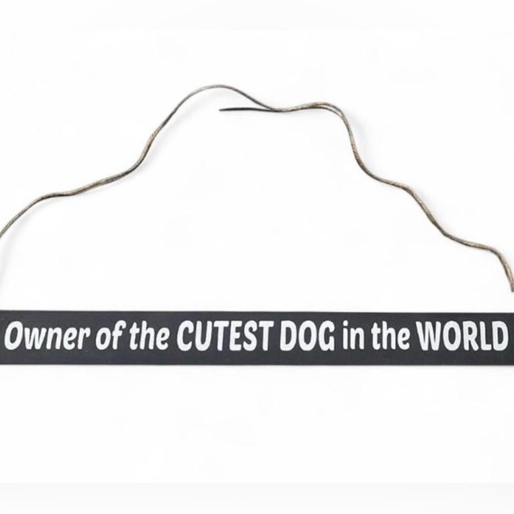 Owner of The Cutest Dog in the World Wall Hanging, Table, or mantel sign